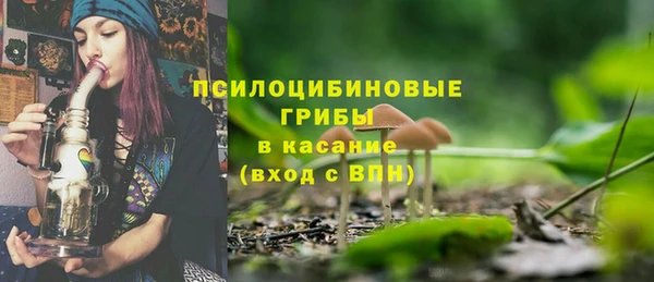 стафф Алзамай